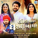 Lidhi Tara Ghar Ni Badha