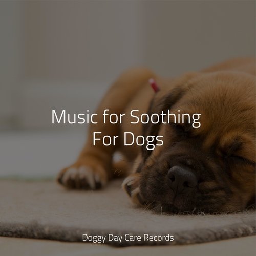 Lullabies for Sleep cover art