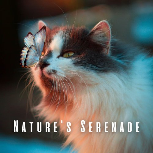 Calming Cat's Soundscape cover art