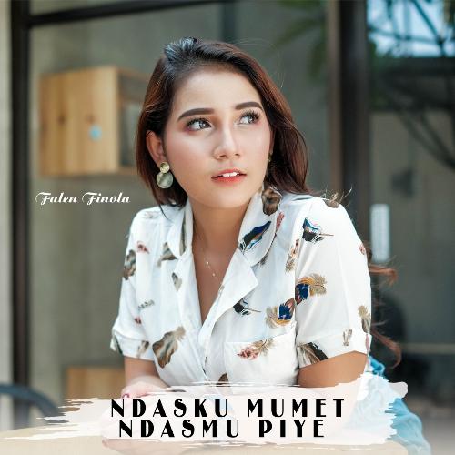 Ndasku Mumet Ndasmu Piye cover art