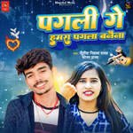 Pagali Se Hamar Pagala Banaina