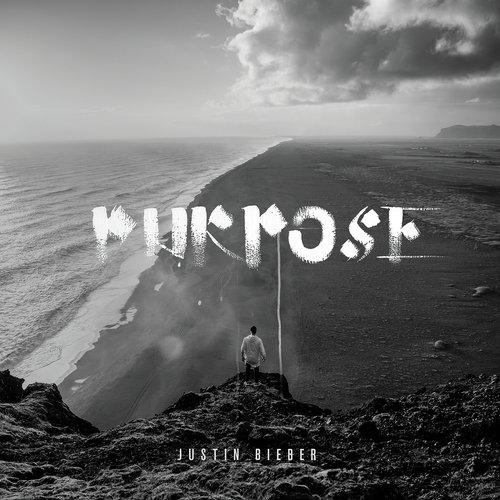 Purpose_poster_image