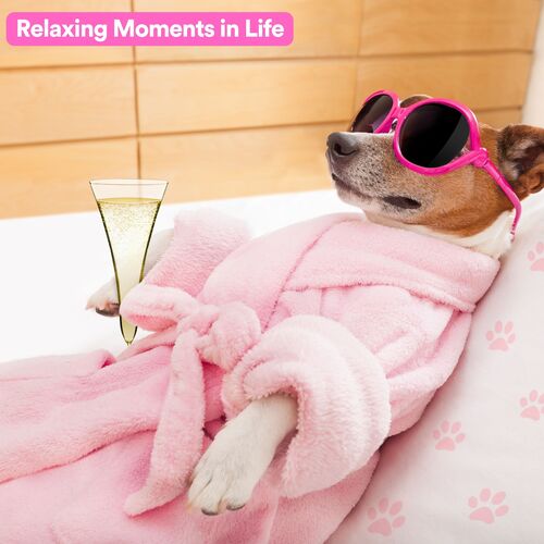 Relaxing Moments in Life_poster_image