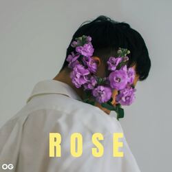 Rose-CDs9X0V4TQU