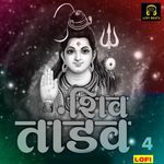Shiv Tandav 4 LOFI