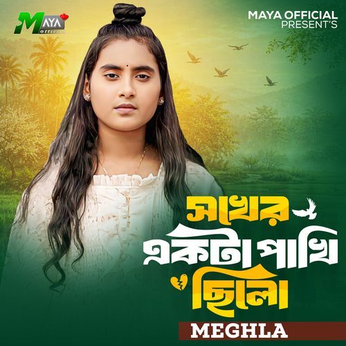 Shokher Ekta Pakhi Chilo