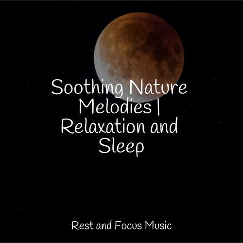 Soothing Nature Melodies | Relaxation and Sleep_poster_image