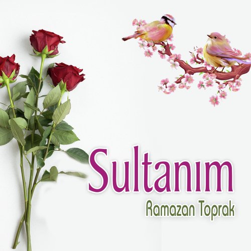 Sultanım_poster_image