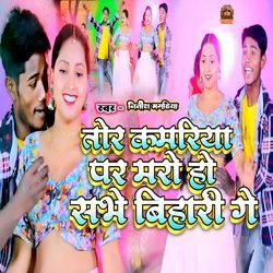 Tor Kamariya Par Maro Ho Sabhe Bihari Ge