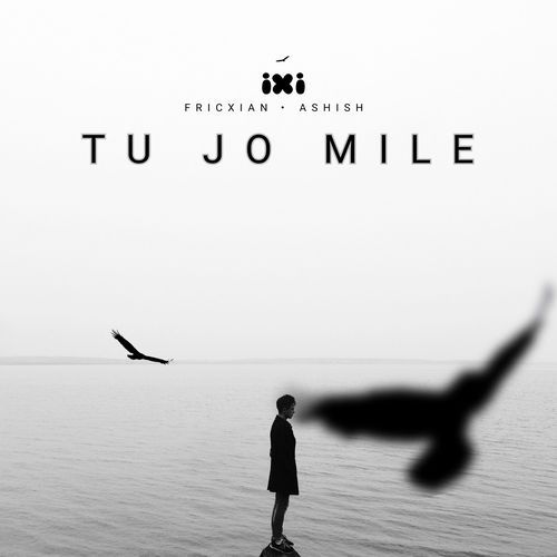 Tu Jo Mile (ft. Ashish Thakur) (Original)
