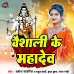 Vaishali Ke Mahadev