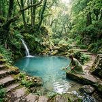 Whispering Waters Sacred Pool