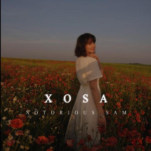 Xosa