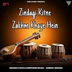 Zindagi Kitne Zakhm Khaye Hein