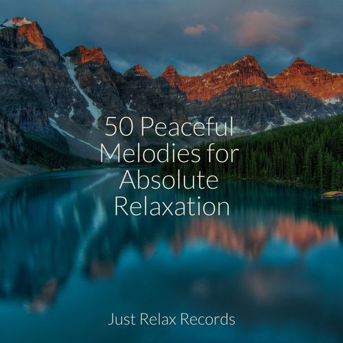 50 Peaceful Melodies for Absolute Relaxation_poster_image