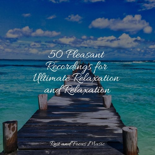 50 Pleasant Recordings for Ultimate Relaxation and Relaxation