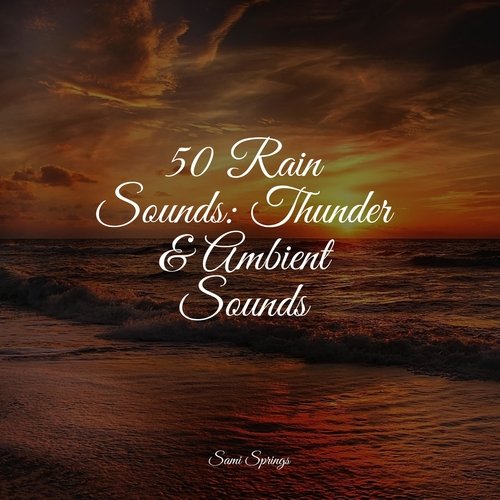 50 Rain Sounds: Thunder & Ambient Sounds