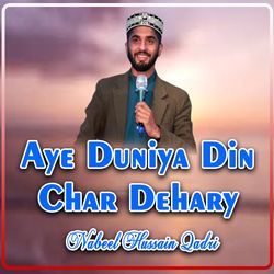 Aye Duniya Din Char Dehary-Lw48fEQGZEs