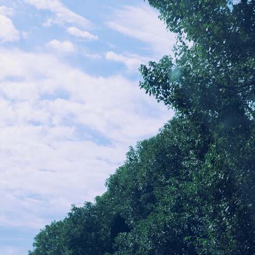 旋律店铺 (铃铛版) cover art