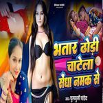 Bhatar Dhodhi Chatela Senha Namak Se