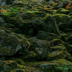 'Highland Lad / Drops Of Brandy / Loch Lomond / The Deils Awa Wi The Exiseman' by John McCrae