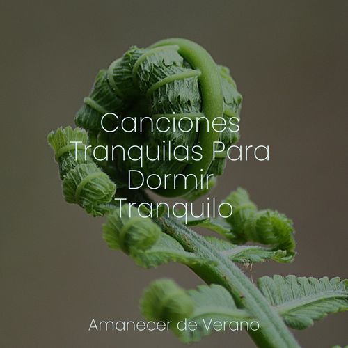Canciones Tranquilas Para Dormir Tranquilo