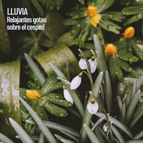 Sonidos de lluvia para domir cover art