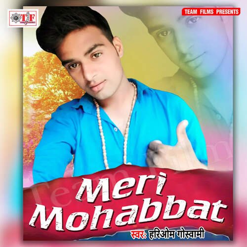 Meri Mohabbat_poster_image