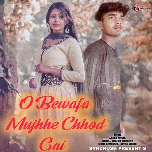 O Bewafa Mujhhe Chhod Gai