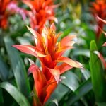 Sons Relaxants pour Prières Hindouistes