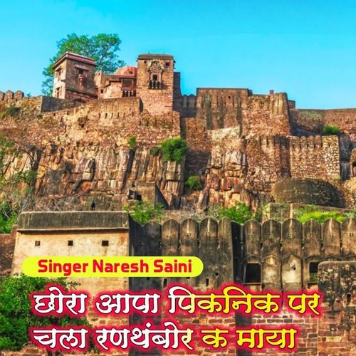 छोरा आपा पिकनिक पर चला रणथंबोर क माया