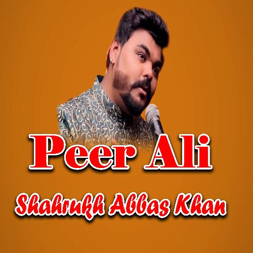 Peer Ali