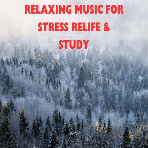 Relaxing Music For Stress Relief & Study_poster_image