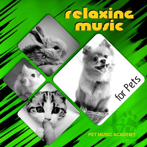 Relaxing Music for Pets – Soothing Sounds for Dogs and Cats, Calm Puppy & Kitty, Calming Music, Nature Sounds for Relaxation