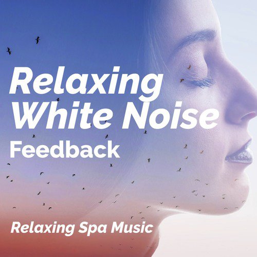 Relaxing White Noise Feedback_poster_image