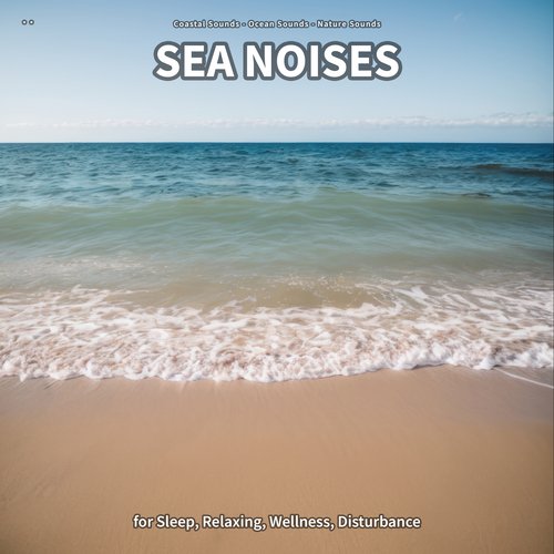 * * Sea Noises for Sleep, Relaxing, Wellness, Disturbance_poster_image