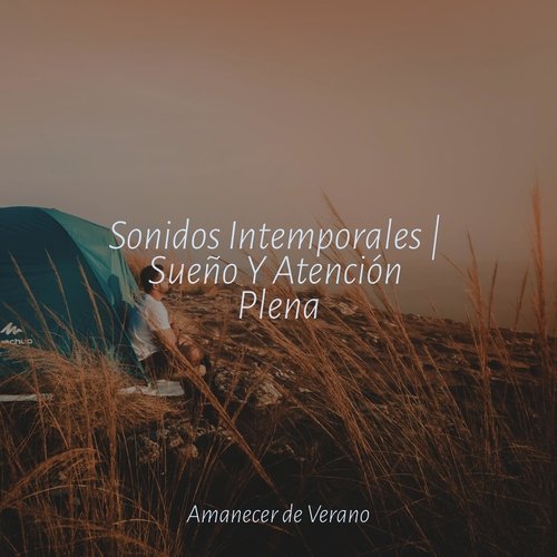 Sonidos Intemporales | Sueño Y Atención Plena