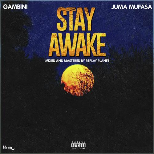 Stay Awake (feat. Juma Mufasa) cover art