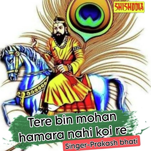Tere Bin Mohan Hamara Nahi Koi Re