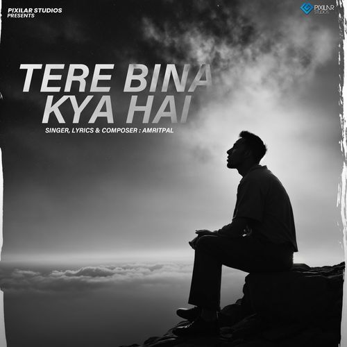 Tere Bina Kya Hai