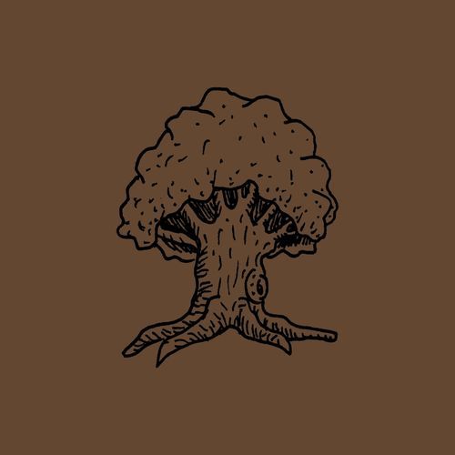 The Fool cover art