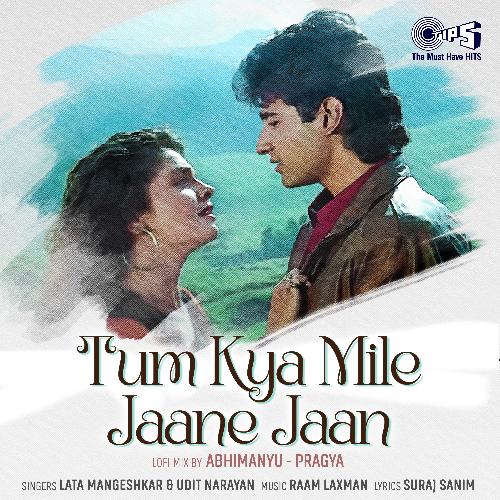 Tum Kya Mile Jaane Jaan (Lofi Mix)_poster_image