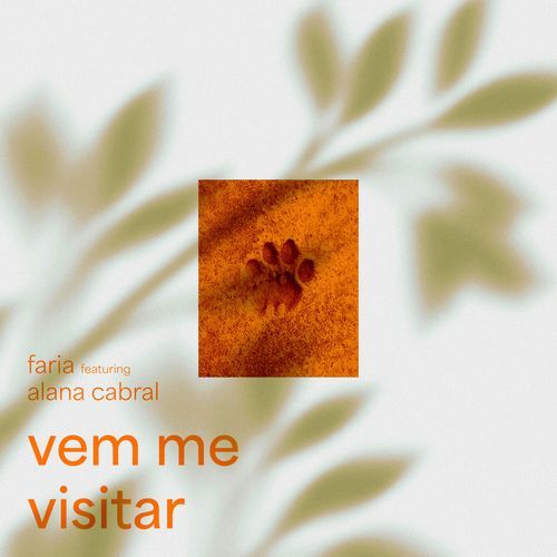 vem me visitar_poster_image