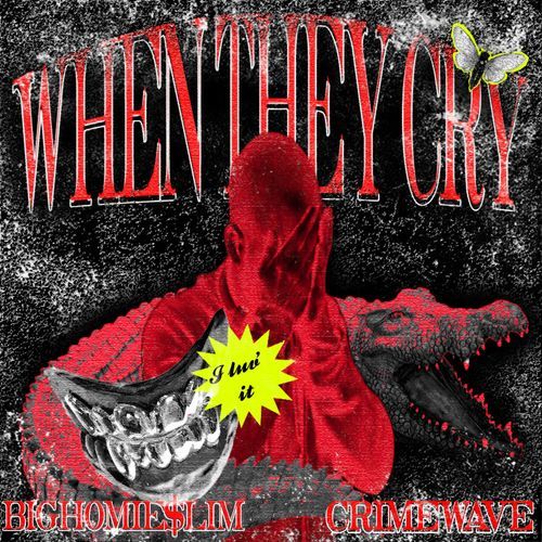 WHEN THEY CRY cover art