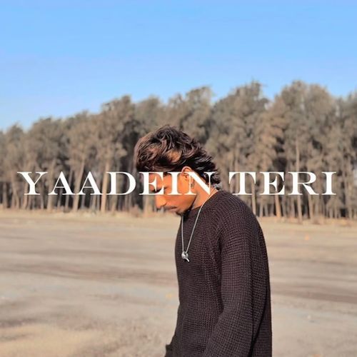 YAADEIN TERI