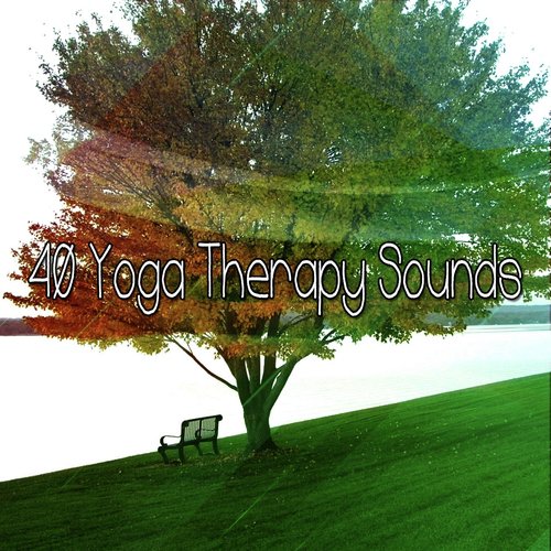 40 Yoga Therapy Sounds_poster_image