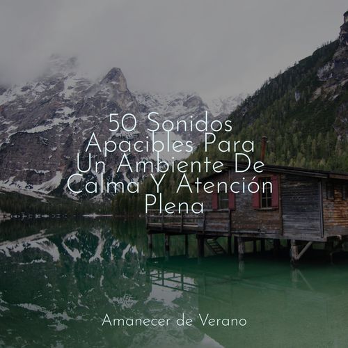 50 Sonidos Apacibles Para Un Ambiente De Calma Y Atención Plena