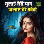 Bhulayi Teri Yaad Jalaye Tere Photo