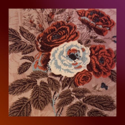 Kittens cover art