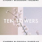 Cherry Blossom Tuesday